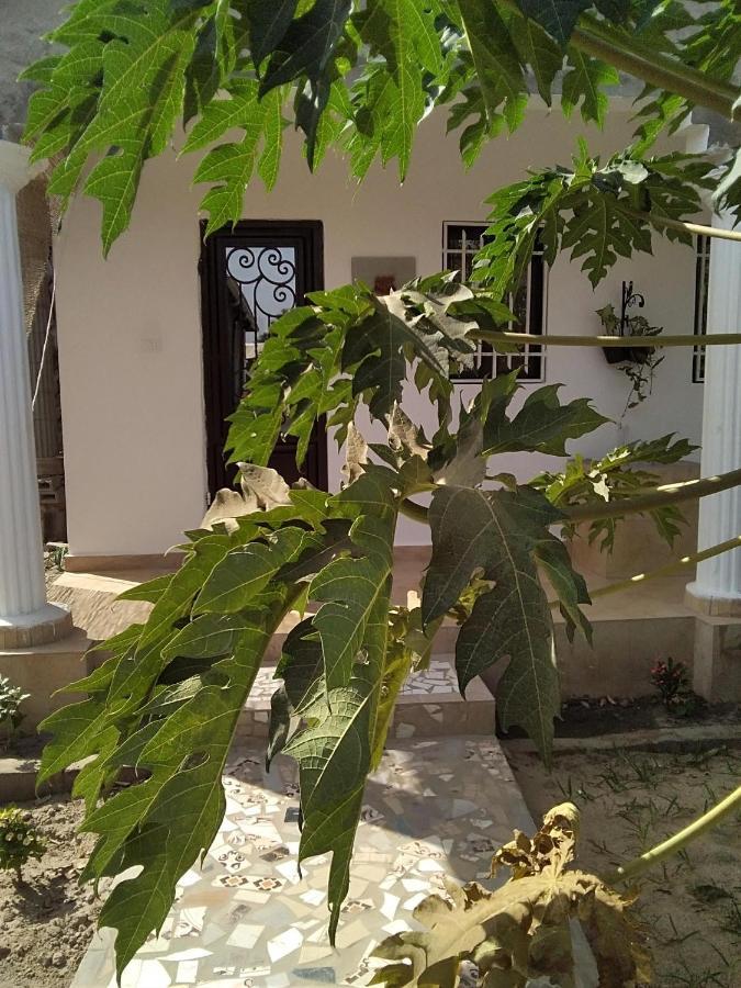 Unique Owl Apartments Sanyang ภายนอก รูปภาพ